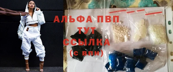шишки Заводоуковск