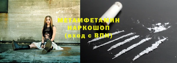 шишки Заводоуковск