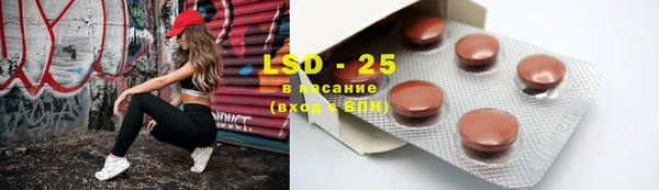 шишки Заводоуковск