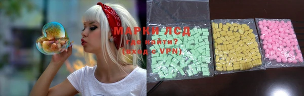 шишки Заводоуковск