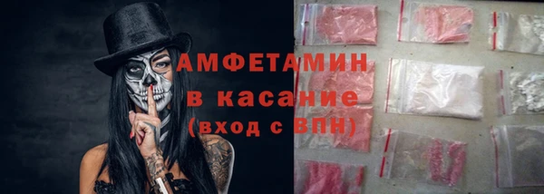 шишки Заводоуковск