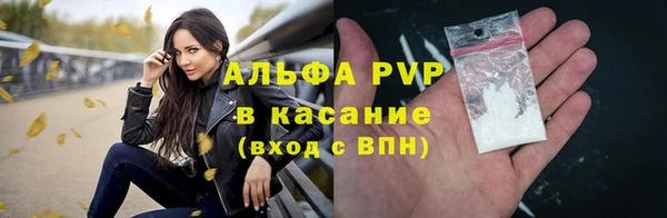 шишки Заводоуковск