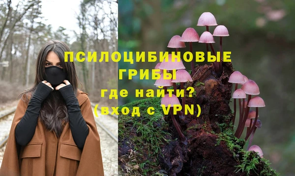 PSILOCYBIN Заволжск
