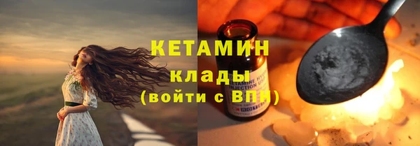 шишки Заводоуковск