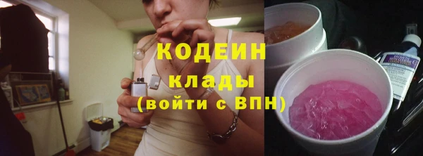 шишки Заводоуковск