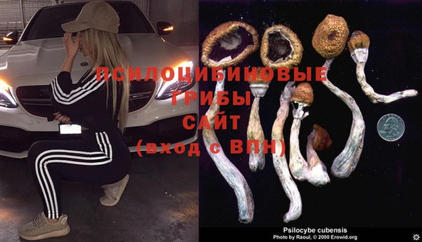 шишки Заводоуковск