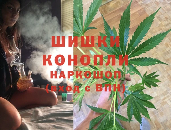 PSILOCYBIN Заволжск